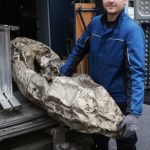 Flugzeugtank - Fund Ahauser-Stausee
