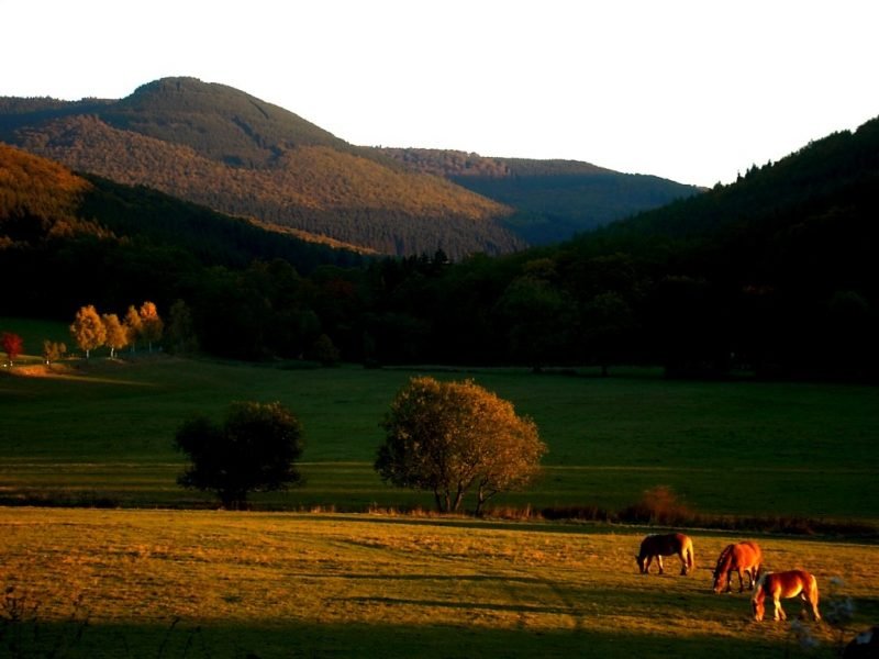 schönes sauerland 001 Kopie