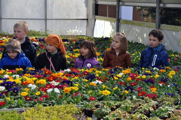 Sonnenschule Attendorn in Heggener Gärtnerei Sonnenschule Attendorn in Heggener Gärtnerei