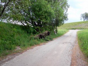 Fundort ausgesetzter Katzen Fundort ausgesetzter Katzen