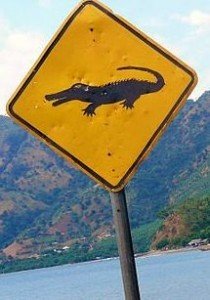 Vorsicht Krokodile Vorsicht Krokodile