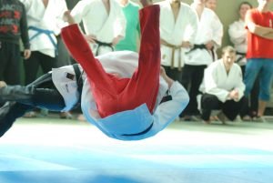 attendorner geschichten - judoka