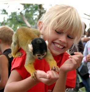 attendorner geschichten - affen- und vogelpark