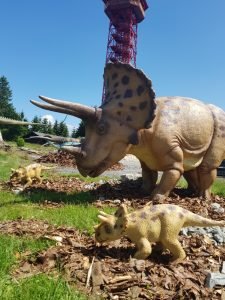 attendorner geschichten - fort fun
