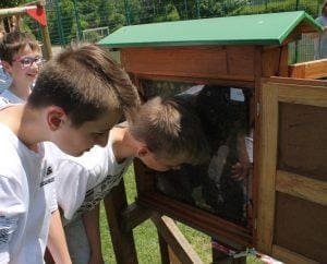 Sechstklässler des St.-Ursula-Gymnasiums informieren sich über Imkerei 1 SUG Bienenexkursion 2