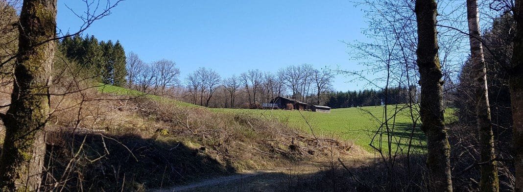 Heldener Arbeitsgruppe „RuHe-Pfad – Rund um Helden“ freut sich über LEADER-Förderzusage 3 ruhe pfad unterhalb der sgv huette auf der ihle