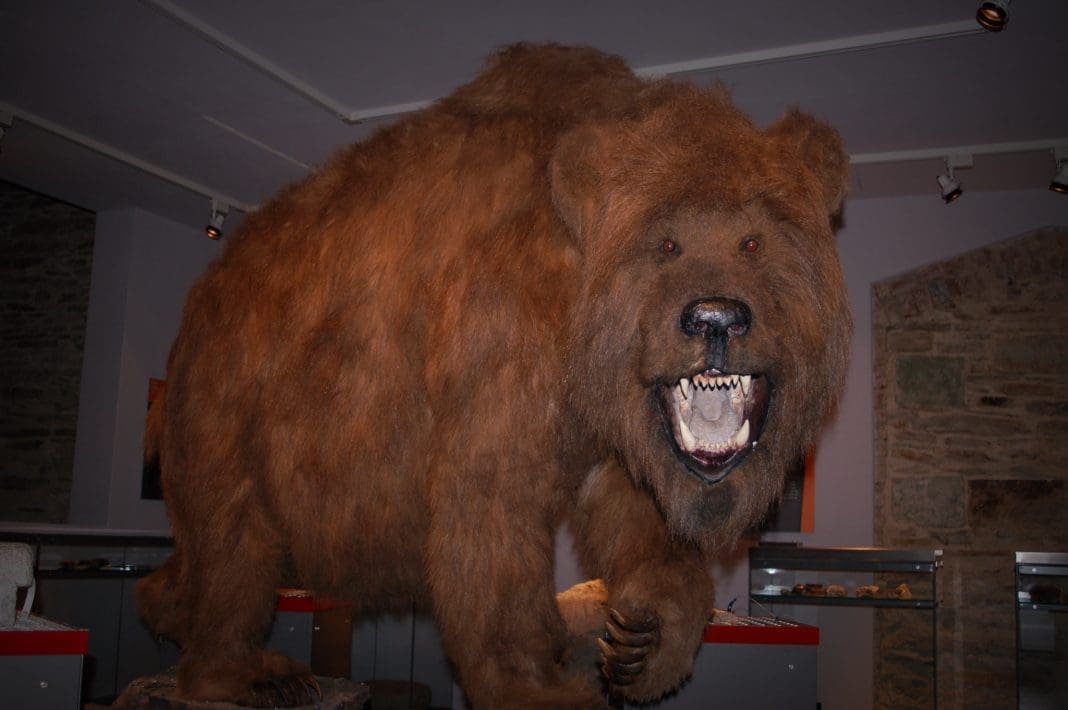 Eiszeit - Südsauerlandmuseum Attendorn