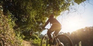 adobestock 485980283