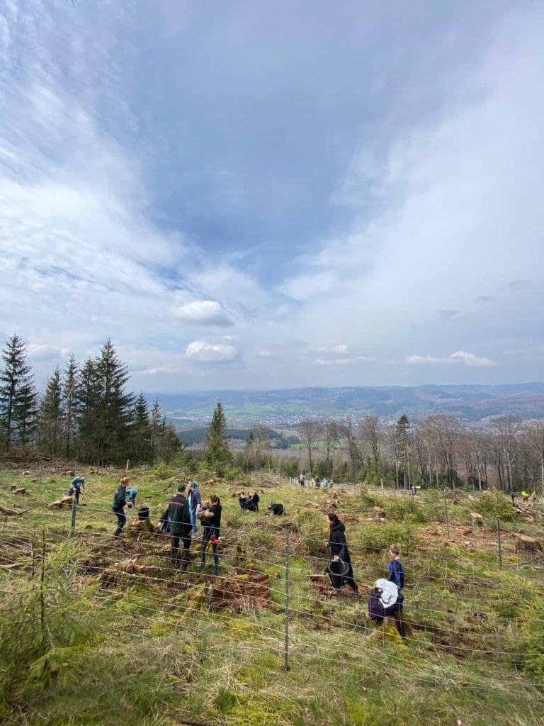 Mehr als 150 Mitarbeitende forsten Wald auf 1 2023 04 24 zukunftswald 01