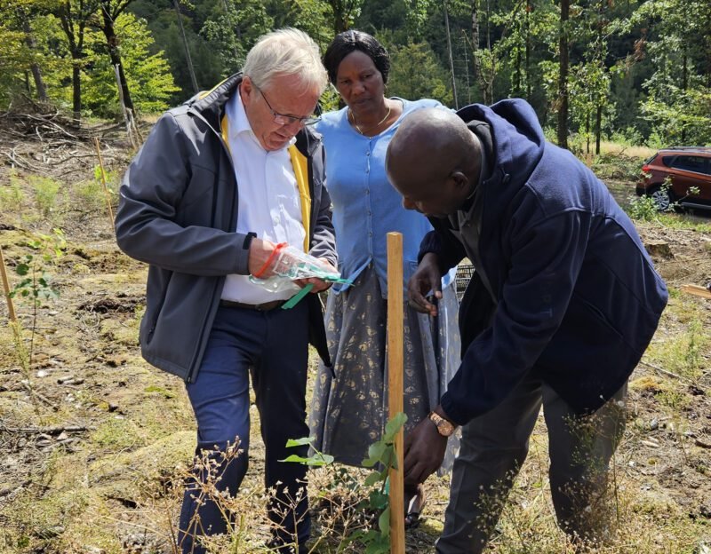 Zeichen der Partnerschaft: Missenye-Wald soll wachsen 4 missenye 4