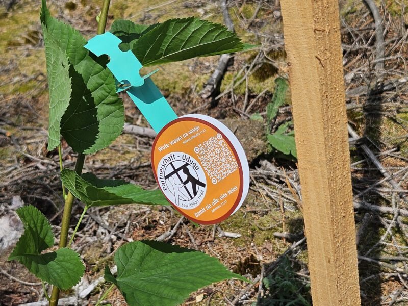 Zeichen der Partnerschaft: Missenye-Wald soll wachsen 5 missenye 5