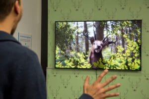 Veranstaltungskalender der Museumslandschaft 3 galileo park animal actors