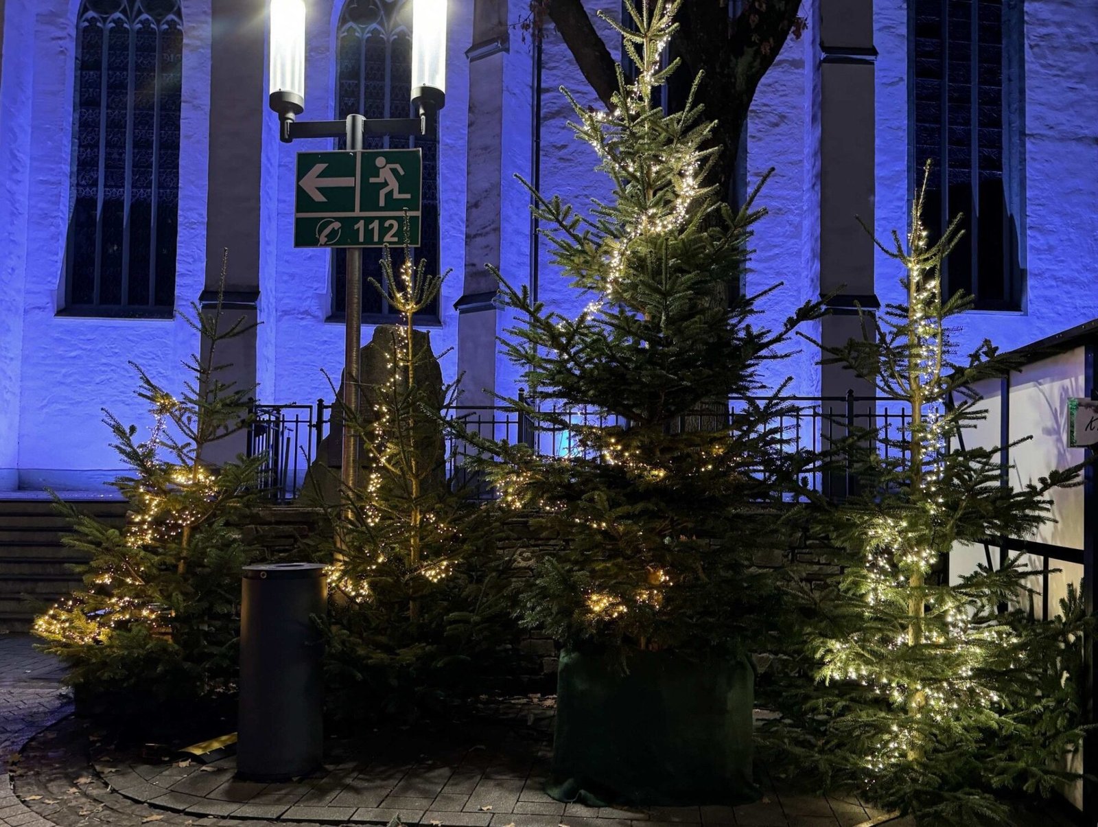 Weihnachts­bäume und Hack­schnitzel zu verschenken • Attendorner