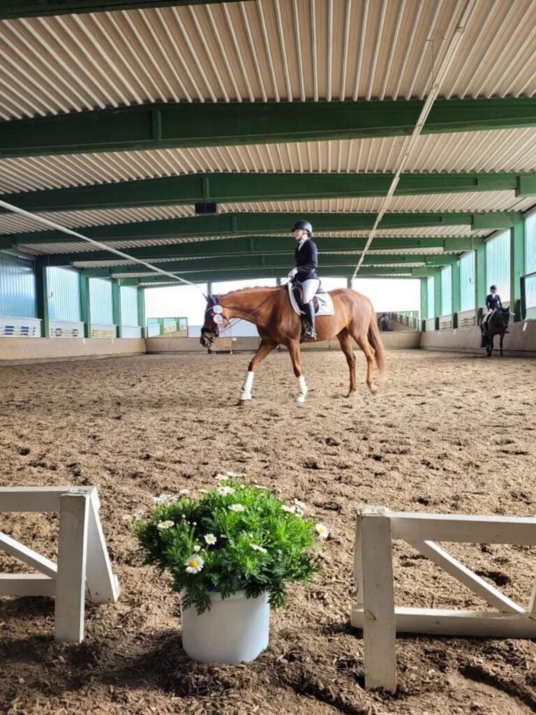 Reitturnier Attendorn-Askay 18.05.25 1 b1a7d4cd c480 4d9e 9baa ab9f17c85303