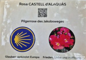 pilgerrose attendorn schild