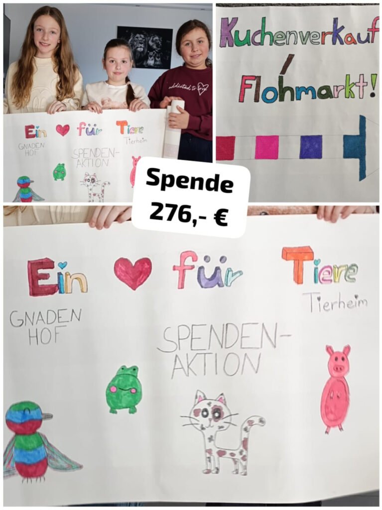Junge Tierschützerinnen erwirtschaften 276€ 2 img 20250704 wa0001