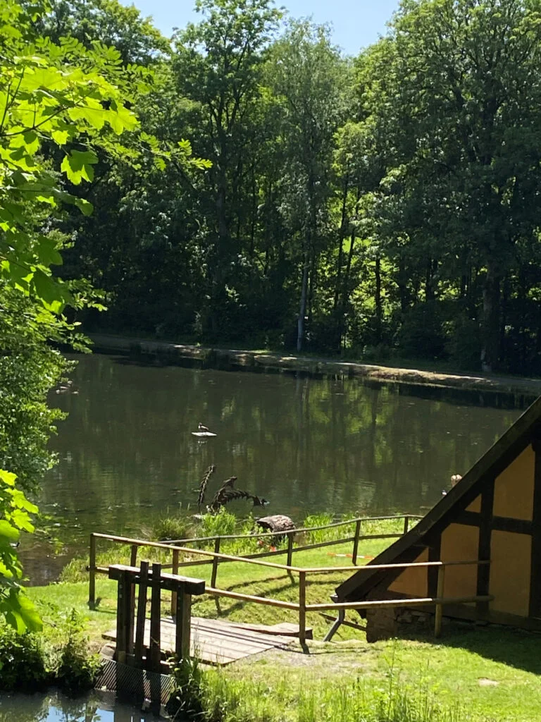 Sommer auf der Wendener Hütte 1 juli an der hutte 1 e1751373982414