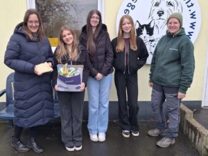 9a tierheim siegen e1766401636390