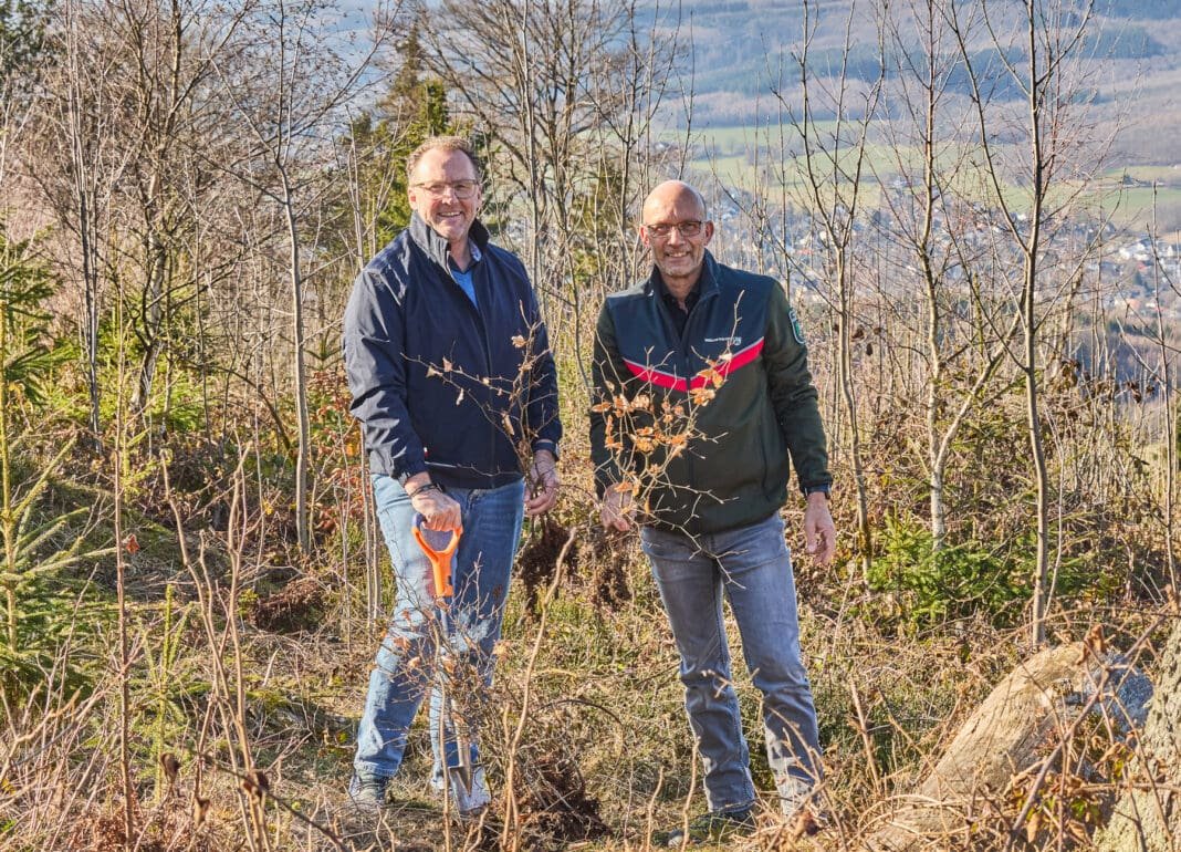 Warum Aufforstung für Krombacher mehr ist als Naturschutz