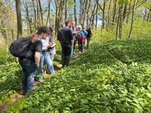 1 barlauchwald